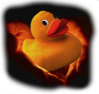 A rubber duck held in someone's hands